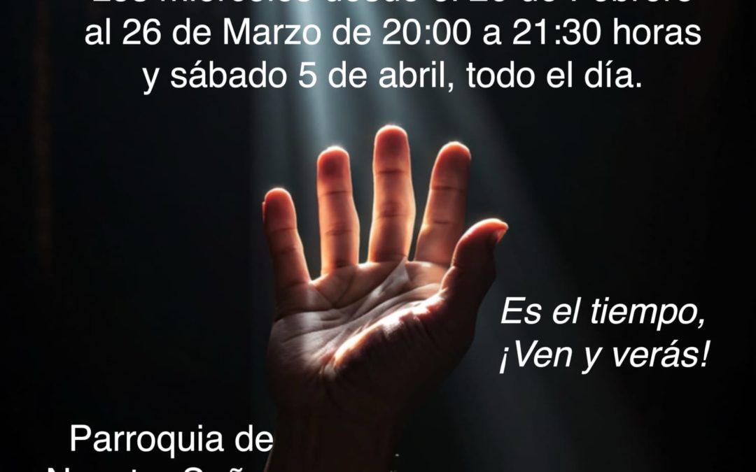 SVE en Madrid
