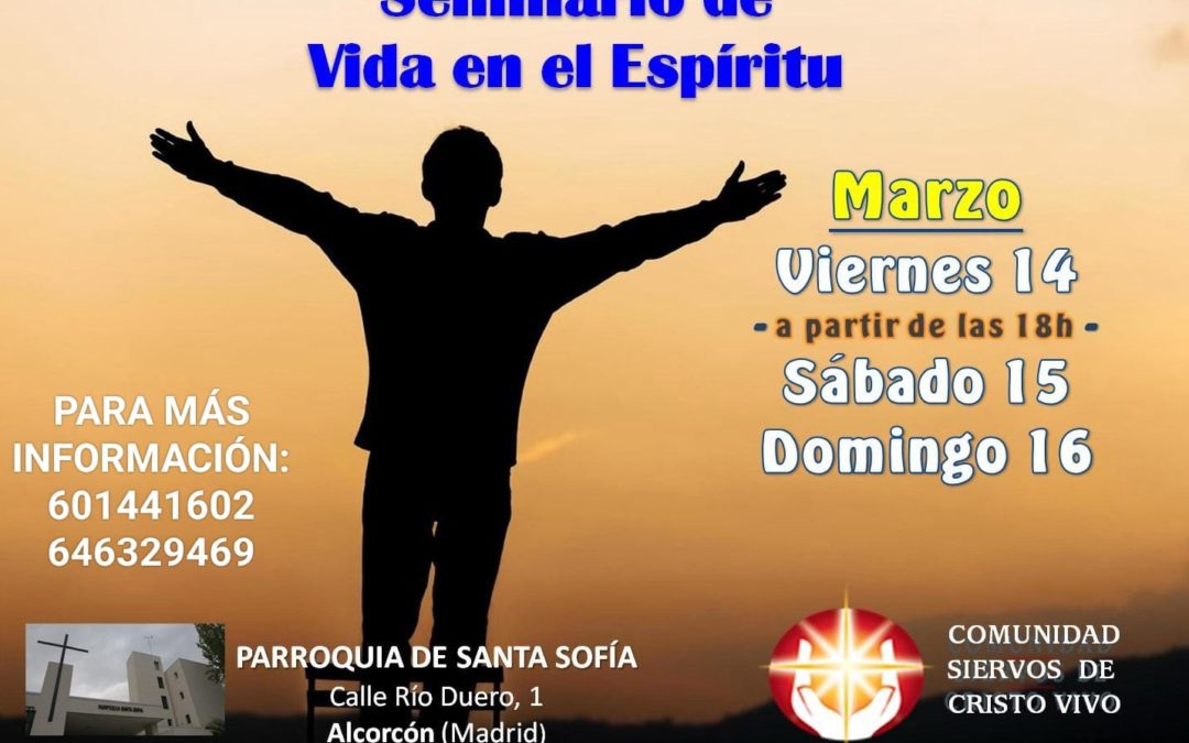 SVE en Alcorcón