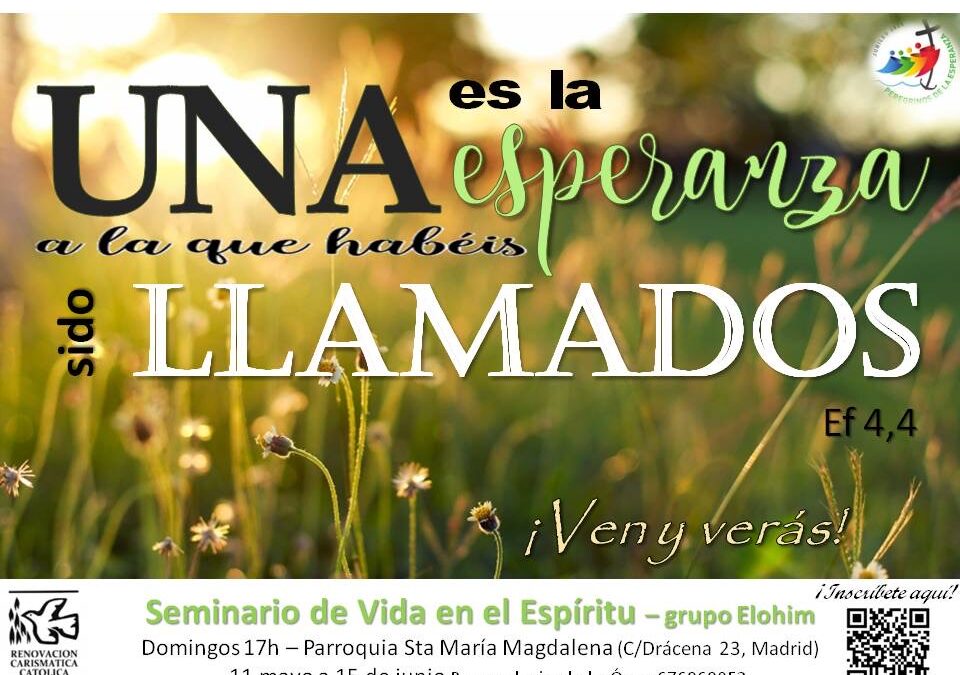 SVE-MADRID. 11 MAYO -15 JUNIO 2025