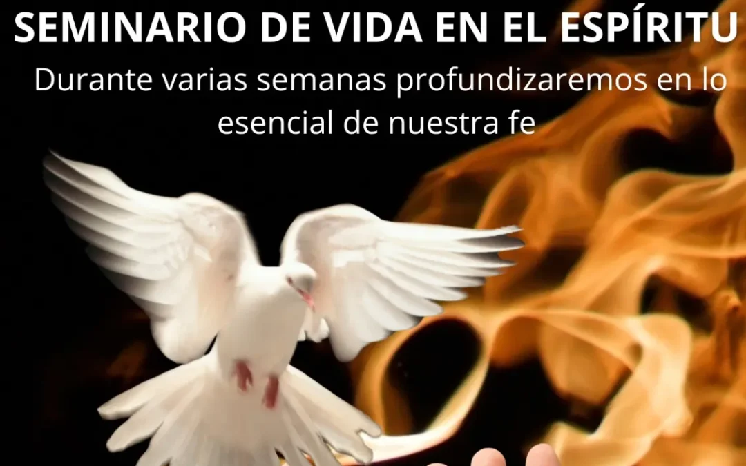 SVE-MADRID. 28 MAYO-07 JUNIO 2025