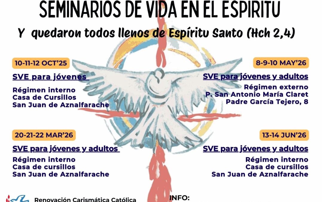 SVE-SEVILLA. CURSO 2025/2026