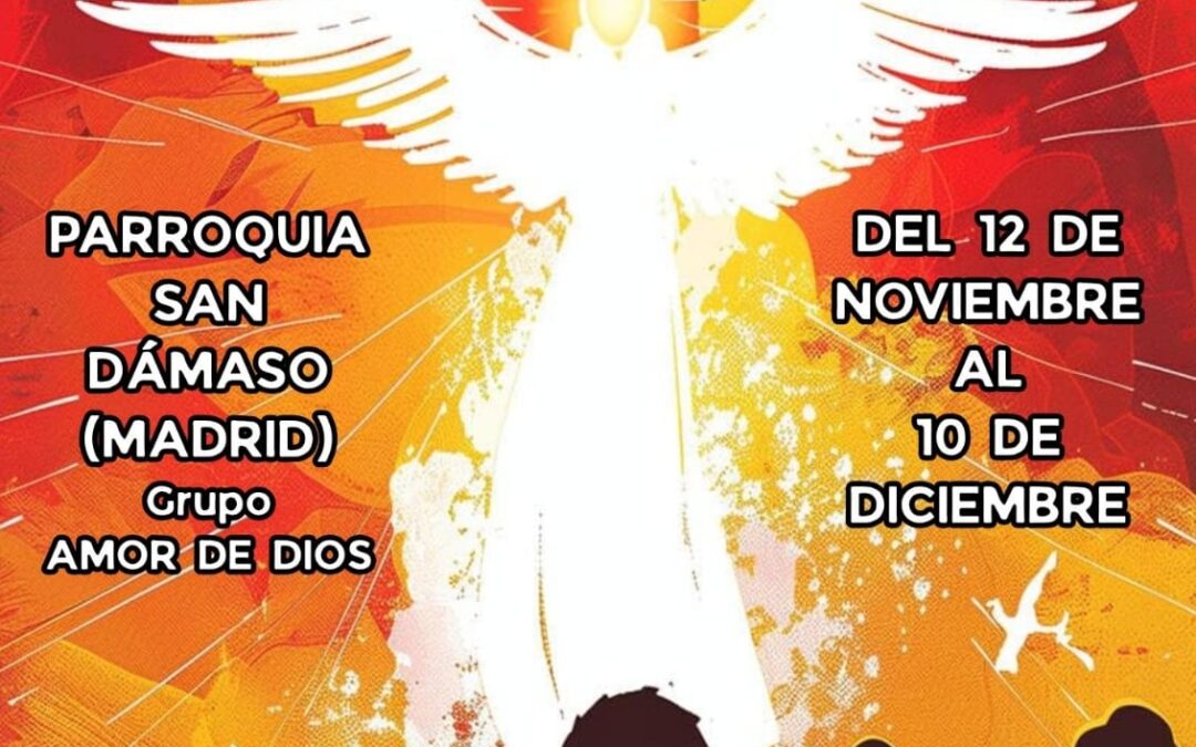 SVE-MADRID. 12 NOVIEMBRE-10 DICIEMBRE 2025