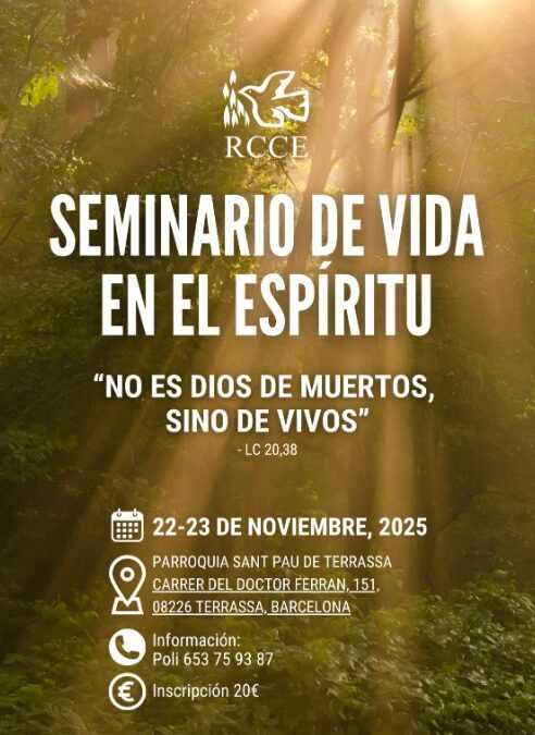 SVE-TERRASSA. 22-23 NOVIEMBRE 2025