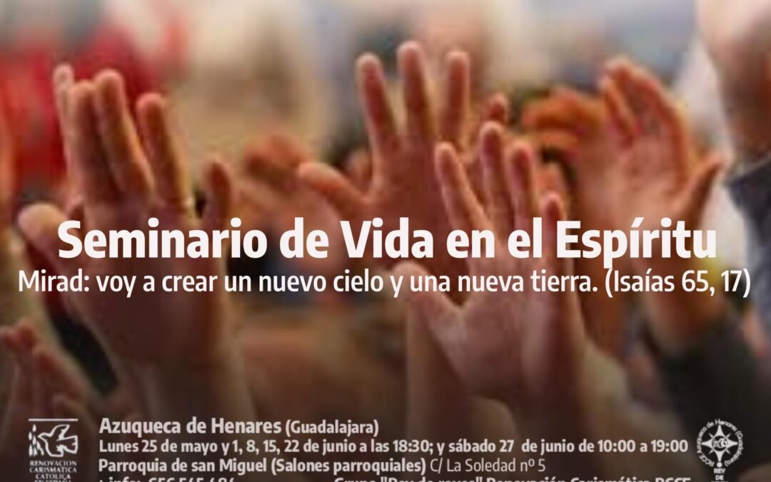SVE-Guadalajara. 25 de mayo al 27 de junio 2026